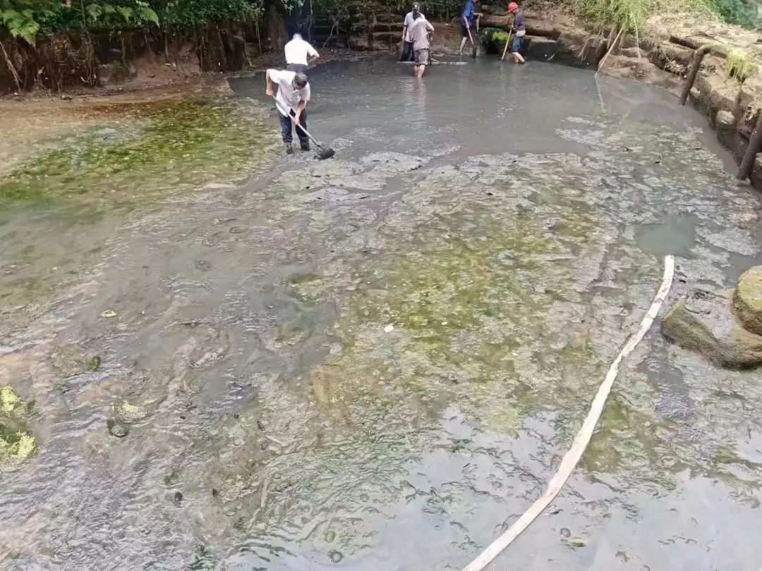 DƬ